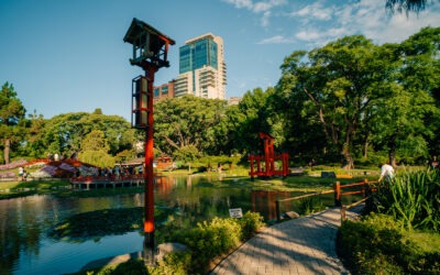 NTConsult é revendedora exclusiva da Camunda na América Latina