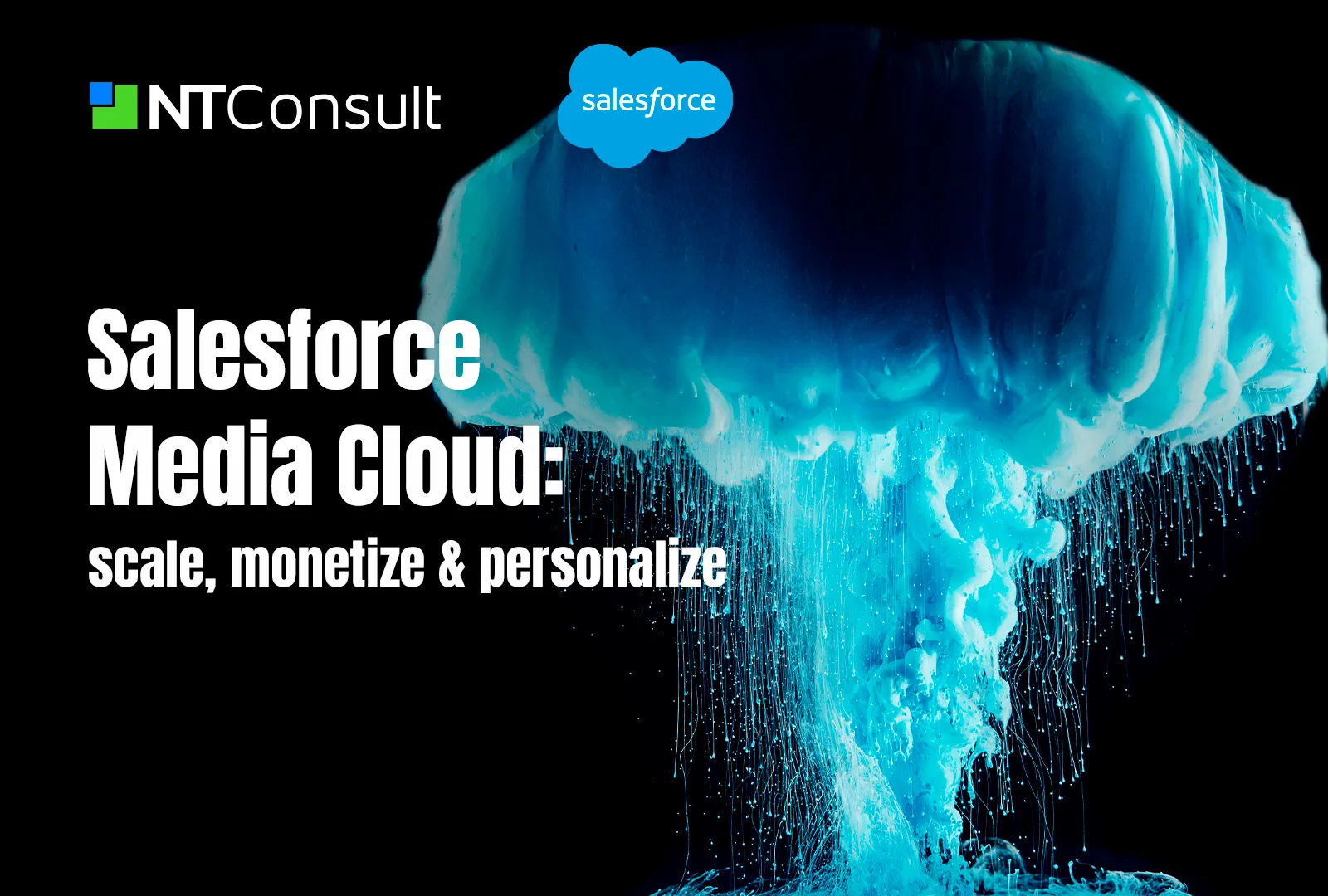 Blogpost-Salesforce-Media-Cloud Salesforce CRM platform logo