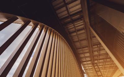 What is Multi-Tenancy? Architecture, Use Cases & Benefits