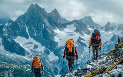 Process Automation and Orchestration Accelerating Value Creation in Complex Environments 