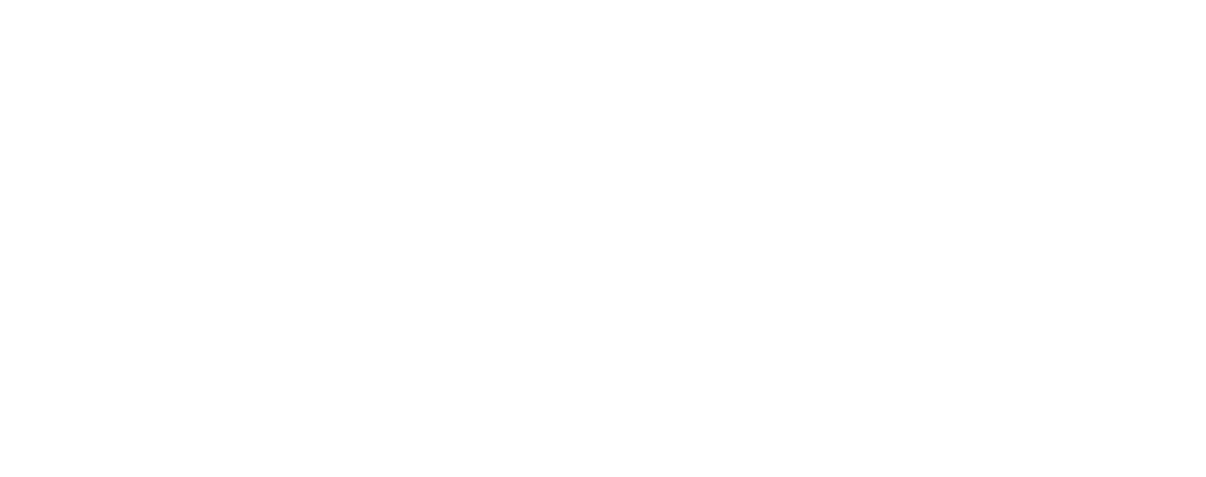 Logoanza client logo of NTConsult